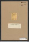 Amphitetras acutangula (Grev.) De-Toni (de-Toni-Nr.: Genus 137, Species 3625) Zeichnungen Sammlung Grunow Nr. 7123 (NHMW-BOT-W0376086)